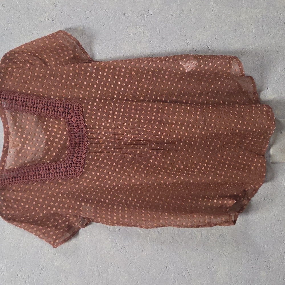 Meadow Rue Anthropologie Grassland Brown Sheer Top Medium - Picture 6 of 6